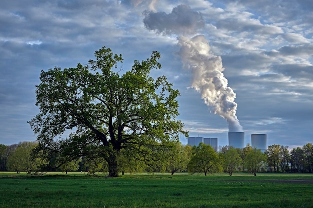 FAQs About Carbon Capture Answered