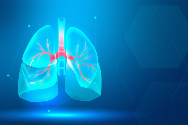why-lung-cells-matter-in-toxicology-studies